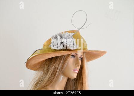 Hat,Fascinator,Fashion, Fancy ,Elegant, Beautiful Kentucky Derby Hat, Wedding,Church,Formal Dressy Hat,  Would be great for Wedding, Bridal Shower Stock Photo