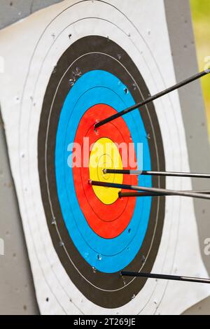 Standard archery target pierced by arrows with one hit the bullseye ...