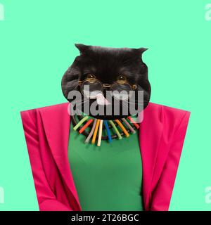 Black cat in glasses wearing bright pink jacket and green blouse. Female clothing. Contemporary art collage. Stock Photo