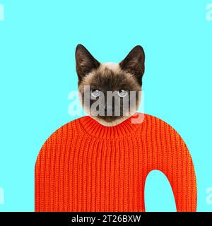 Purebred cat in knitted orange sweater over blue background. Coziness. Contemporary art collage. Stock Photo