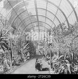 The Great Chatsworth Conservatory; Interior. Chatsworth House, Derbyshire, 1844. Black and White Illustration from the London Illustrated News; 31st August 1844. Stock Photo