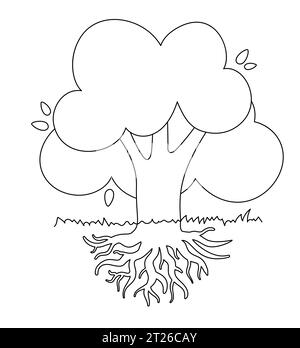 Black and white drawing of deciduous tree with large krone root system. Line silhouette for kid coloring. Isolated Vector Image. Stock Vector