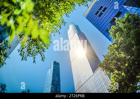 Office buildings in Manhattan reflect the sunlight filtering through the leaves of the trees in the foreground Stock Photo