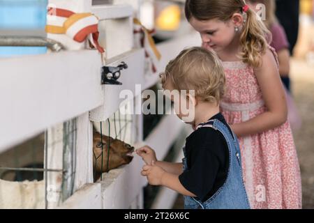 2 years old boy and 5 years old girl feed farm animals at a petting zoo during Pumpkin Patch Season in San Pedro, CA. Stock Photo