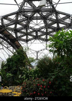 View into the rainforest dome of the Eden Project, Bodelva, St Austell, Cornwall, England Stock Photo