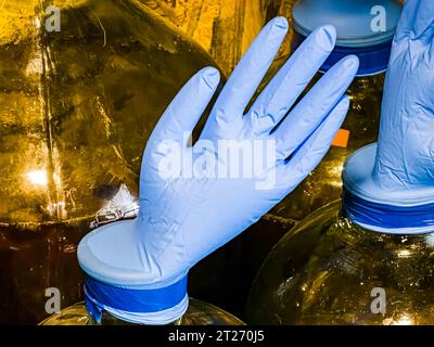 The correct fermentation process, making homemade wine. Glass bottles with huge blue inflated gloves on a wooden background. Stock Photo