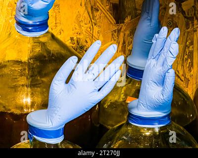 The correct fermentation process, making homemade wine. Glass bottles with huge blue inflated gloves on a wooden background. Stock Photo