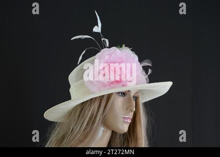 Hat,Fascinator,Fashion, Fancy ,Elegant, Beautiful Kentucky Derby Hat, Wedding,Church,Formal Dressy Hat,  Would be great for Wedding, Bridal Shower Stock Photo