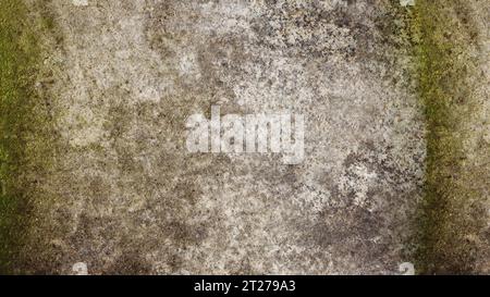Old concrete wall covered with green mold. Stock Photo