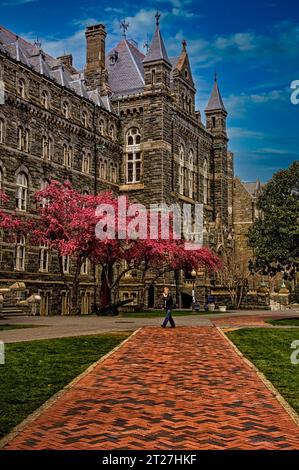 Student walking in front of Healy Hall at Georgetown University in Washington D.C. Stock Photo