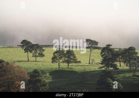 Hopesay Common and the hills near Craven Arms viewed from the Iron Age Hill Fort on Burrow, Aston on Clun, Shropshire, UK Stock Photo