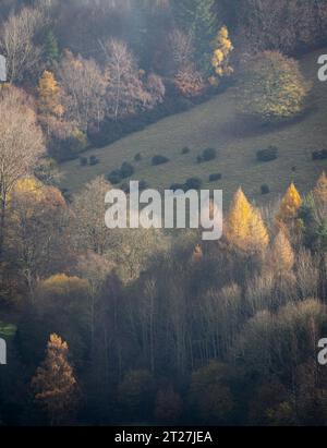 Hopesay Common and the hills near Craven Arms viewed from the Iron Age Hill Fort on Burrow, Aston on Clun, Shropshire, UK Stock Photo