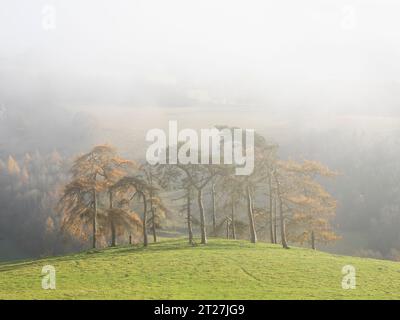 Hopesay Common and the hills near Craven Arms viewed from the Iron Age Hill Fort on Burrow, Aston on Clun, Shropshire, UK Stock Photo