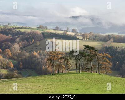 Hopesay Common and the hills near Craven Arms viewed from the Iron Age Hill Fort on Burrow, Aston on Clun, Shropshire, UK Stock Photo