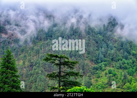 Early morning clouds on the mountainside at Gone Fishing cottages in the Tirthan Valley Stock Photo