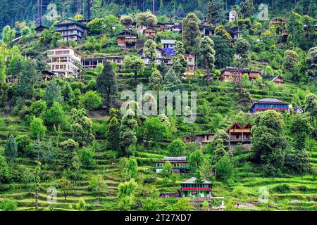 Houses and homestays located on the green mountainside terraces in Jibhi, Himachal Pradesh Stock Photo