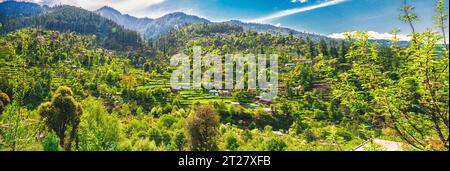 Lush green terraced valley in Jibhi, Himachal Pradesh Stock Photo