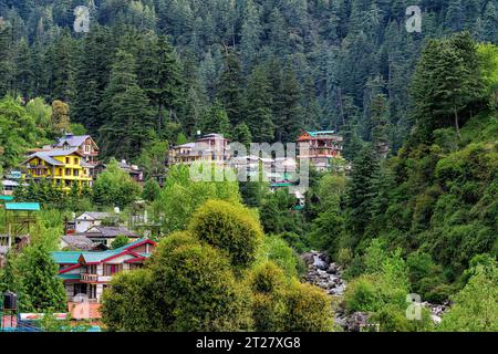 Dense pine forests surround the hamlet of Jibhi in Himachal Pradesh Stock Photo