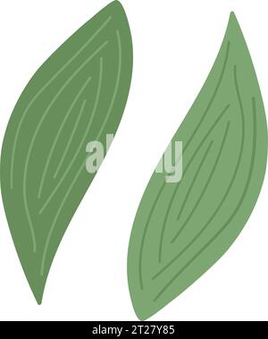 Abstract isolated image of hand drawn leaves of spathiphyllum in trendy green shades. Hello spring. EPS. Vector for poster, banner, billboards, greetings or invitations, price, label, wallpaper or web Stock Vector