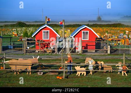Laity Pumpkin Patch, Maple Ridge, British Columbia, Canada Stock Photo