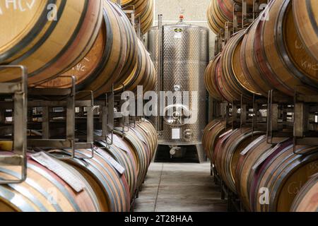 Wine cellar of a modern winery with wooden barrels and stainless steel silos Stock Photo