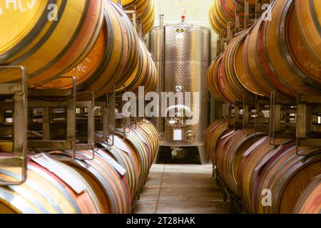 Wine cellar of a modern winery with wooden barrels and stainless steel silos Stock Photo