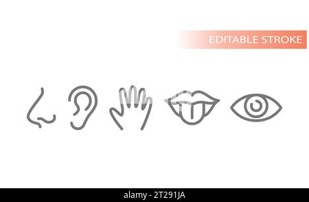 Five senses, human sensory organs icons. Touch, smell, see and taste line icon set. Stock Vector