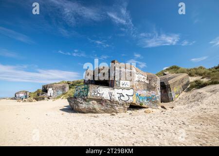 Destroyed bunkers in the dunes of Dunkirk, North Sea, Hauts-de France, France Stock Photo