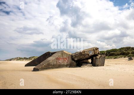 Destroyed bunkers in the dunes of Dunkirk, North Sea, Hauts-de France, France Stock Photo