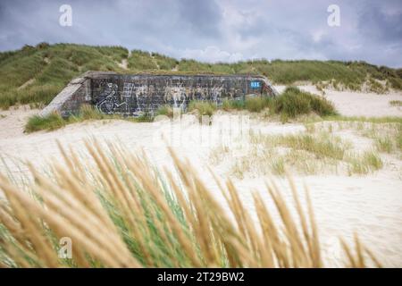 Destroyed bunkers in the dunes of Dunkirk, North Sea, Hauts-de France, France Stock Photo