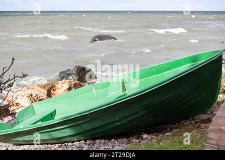 Old Green Plastic Fishing Boat At The Lake In Green Grass Stock Photo -  Download Image Now - iStock