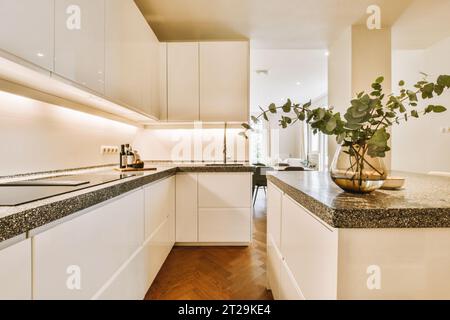 Interior of renovated kitchen with white cabinets and granite countertop and island in modern apartment Stock Photo