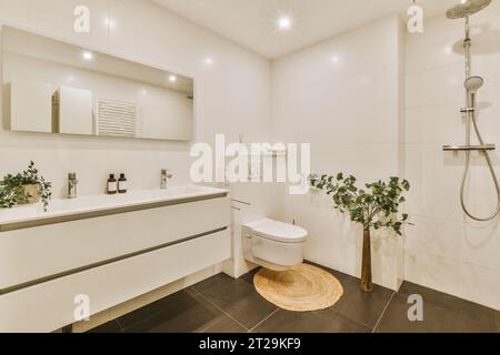 Interior of stylish white bathroom with toilet bowl and large ceramic sink and showerhead in modern apartment Stock Photo