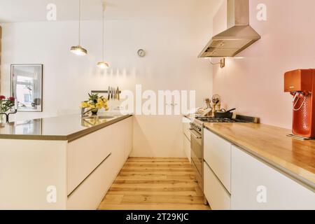 Interior of modern spacious kitchen with appliances and wooden countertop and white cabinets at home Stock Photo