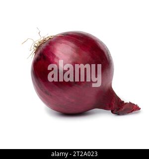 Single fresh whole red onion isolated on white background close up Stock Photo
