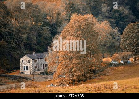 17.10.23 Hebden Bridge, west Yorkshire, UK. Stone built cottage in autumnal woodland in Hardcastle Crags in Calderdale Stock Photo