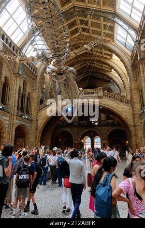 Magnificent Architecture in the Heart of the Natural History Museum. 10 October, London, UK. Stock Photo