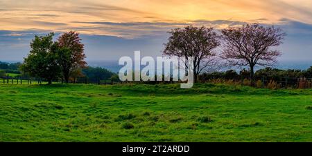 Werneth Low country park, Greater Manchester. Stock Photo