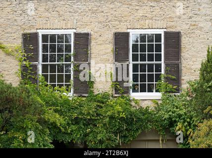 Window of old house surrounded by vines Stock Photo