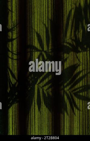 Palm tree shadows on drapes during golden hours Stock Photo