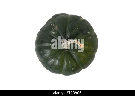 Top view of dark 'Black Kat F1' acorn squash with dark green, almost black, skin on white background Stock Photo