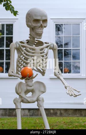 Elaborate Halloween Decorations Of A Giant Skeleton And Pumpkin Outside A House In A US Suburb Stock Photo
