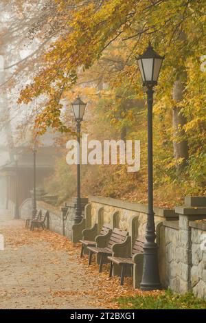 Autumn park with wooden benches in foggy morning Stock Photo