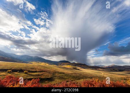 Warn sunlight on fall colors in the San Juan Mountains along Last Dollar Road near Telluride, Colorado Stock Photo