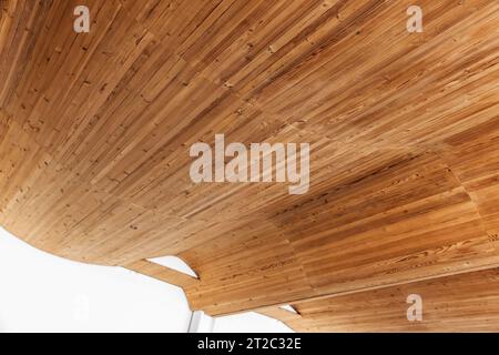 Empty interior with bent ceiling made of wooden planks, parametric architecture background photo Stock Photo