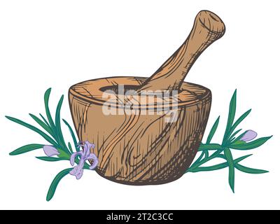 Rosemary and a wooden mortar for crushing herbs. Vector illustration of aromatic herbs, spices. Hand sketch in engraving technique. Separate design el Stock Vector