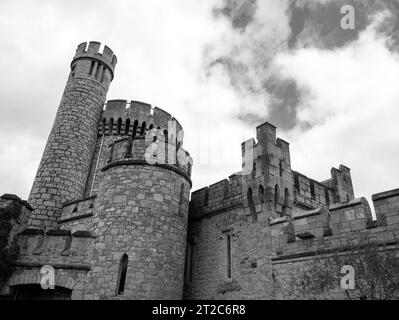 Old celtic castle tower, Blackrock castle in Ireland. Blackrock Observatory fortress Stock Photo