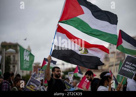 Lisbon, Portugal. 18th Oct, 2023. An activist is seen carrying Palestinian and Egyptian flags, during a demonstration. The rally calling for a ceasefire and an end to the Israeli-Palestinian conflict was organized by the Portuguese Council for Peace and Cooperation and the Movement for the Rights of the Palestinian People. Credit: SOPA Images Limited/Alamy Live News Stock Photo