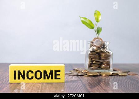 Income Word with Written on Blackboard with White Chalk in Horizontal Orientation, Business and Financial Conceptual. Stock Photo