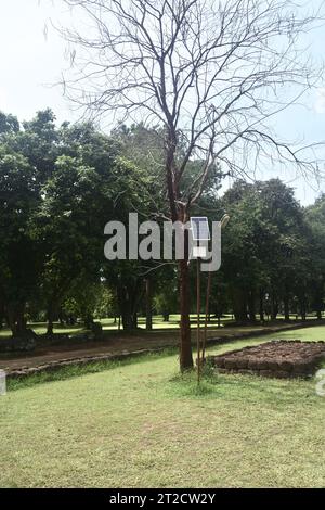 Generate electricity to power electricity for lighting by solar cell panel on tree plant, Environmentally friendly technology in Thailand Stock Photo